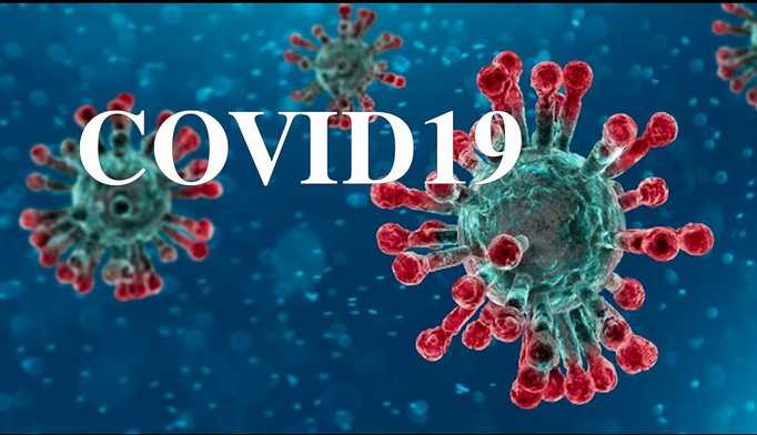 Меры профилактики по недопущению возникновения и распространения коронавирусной инфекции (COVID-19):