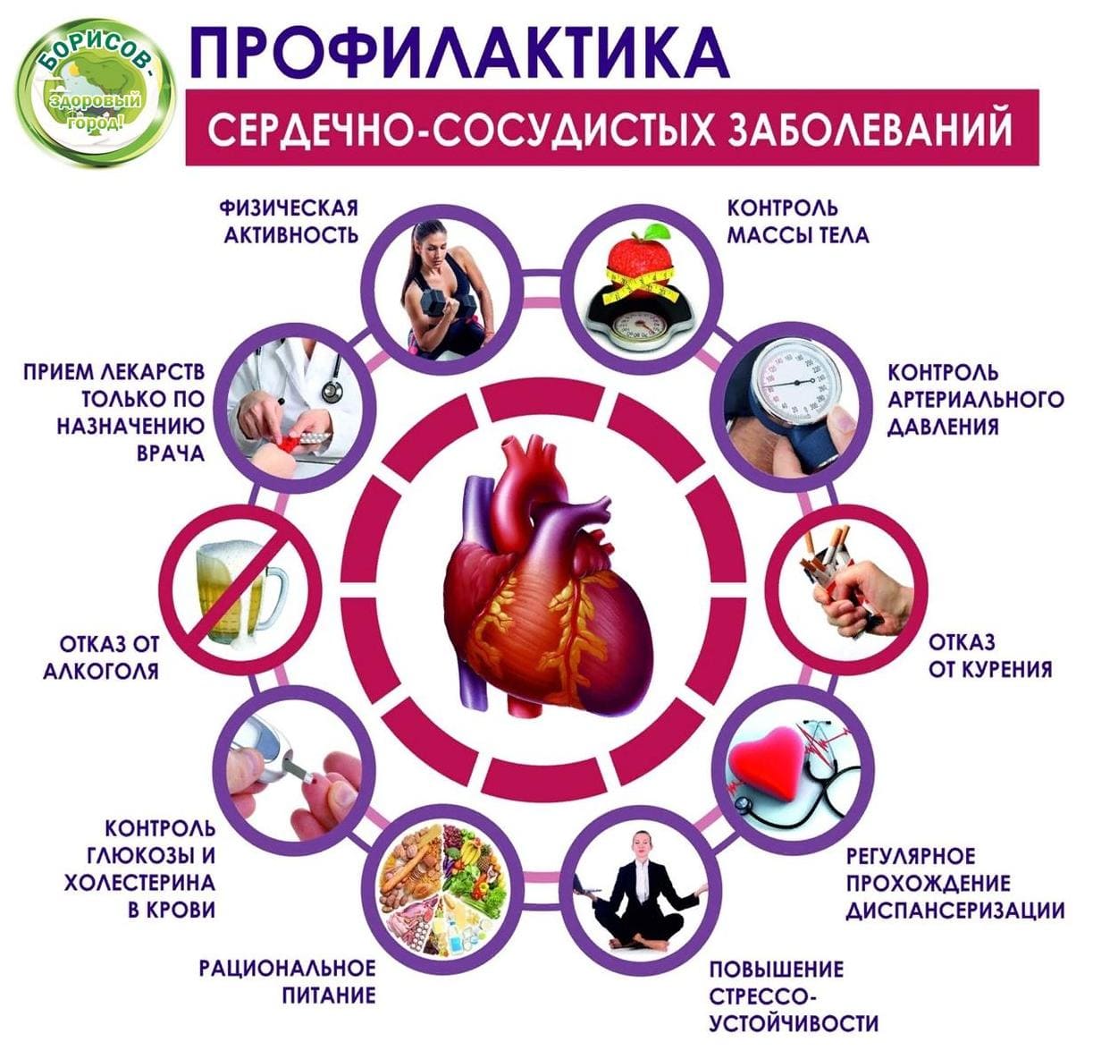 Профилактика сердечно-сосудистых заболеваний