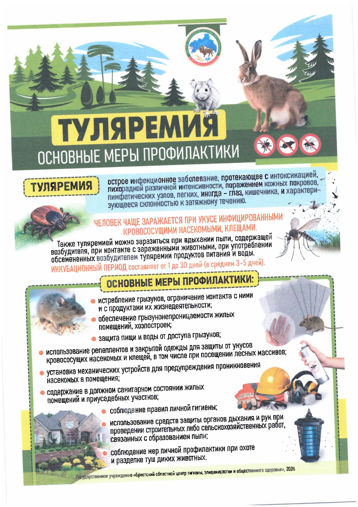 Туляремия. Основные меры профилактики